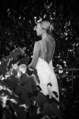 Kadınsı genç bayanın şefkatli çizimi. Beyaz ipek elbiseli romantik fotoğrafçı kadın. Kadınlar için prosedür