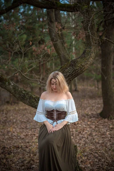 Scandinavian woman outfit, details of dress, Nordic culture