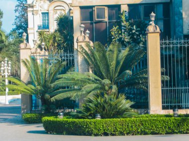 Mısır tatili. Seyahat parçaları, küçük turist günlüğü ya da blog. Haftasonunun Yaşam Tarzı