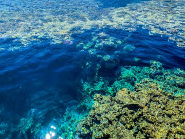 Mısır tatili. Seyahat parçaları, küçük turist günlüğü ya da blog. Haftasonunun Yaşam Tarzı