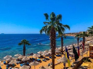 Mısır tatili. Seyahat parçaları, küçük turist günlüğü ya da blog. Haftasonunun Yaşam Tarzı