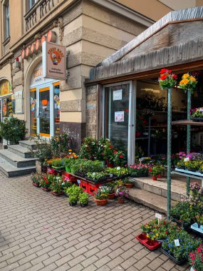 Almanya tatili. Seyahat parçaları, küçük turist günlüğü ya da blog. Haftasonunun Yaşam Tarzı