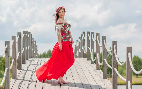 Ukrainska Fashionabla Kvinna Broderi Traditionell Klänning Begreppet Modiga Ukraina Och — Stockfoto