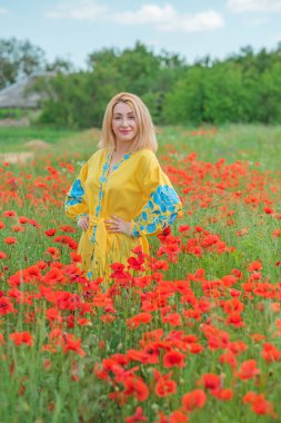 Mavi elbiseli, sarı elbiseli kız nakışlı Boho elbisesi. Haşhaş tarlasında şık sarışın kadın.