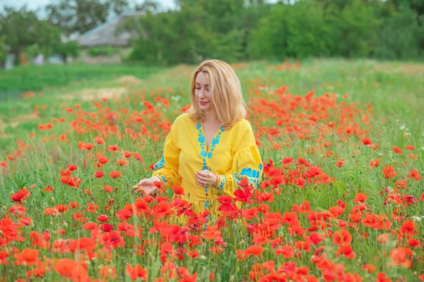 Mavi elbiseli, sarı elbiseli kız nakışlı Boho elbisesi. Haşhaş tarlasında şık sarışın kadın.