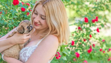  En iyi insan arkadaş. Evcil hayvan yaşam tarzının bir yansıması. Hayatın parçaları, küçük köpek yavrusu, evlatlık hayvanlar konsepti.