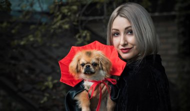 Siyah-kırmızı pelerinli küçük güzel bir köpek. Cadılar Bayramı partisi fikirleri. Evcil hayvan yaşam tarzı