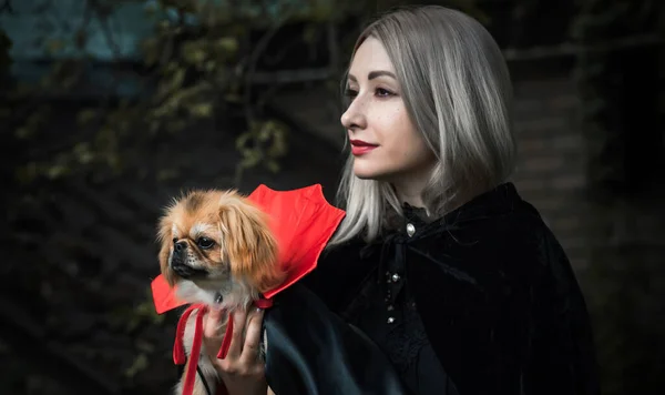 Donna Con Bel Animaletto Costume Halloween Vampiro Maschera Concetto Partito — Foto Stock