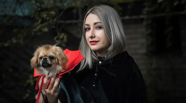 Mujer Con Una Linda Mascota Disfrazada Vampiro Disfrazado Halloween Concepto —  Fotos de Stock