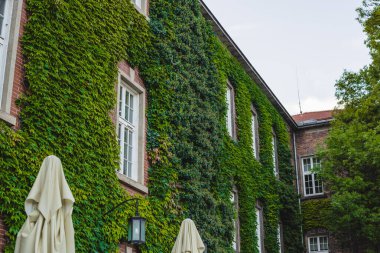 Krakow görüşleri, Polonya 'da tatil kavramı. Şehir merkezinin eski bir parçası. Yolculuk için fikirler.