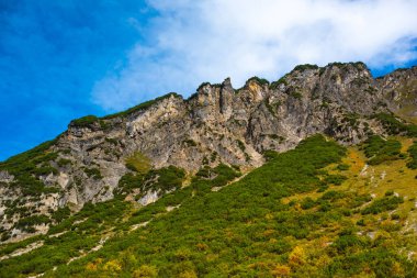 Avusturya Alp Dağları. Güzel manzara manzarası. Seyahat konsepti