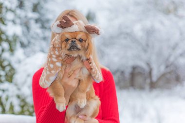 Kar parkında genç bir Pekin köpeğiyle gülen mutlu bayan. Kış Noel zamanı. Doggo sahibiyle yürüyüşe çıkmış, keyfi yerinde.