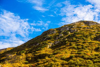 Avusturya Alp Dağları 'nın güzel manzarası. Turizm konsepti. İlham gezisi