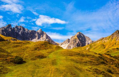 Avusturya Alp Dağları 'nın güzel manzarası. Turizm konsepti. İlham gezisi