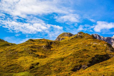 Avusturya Alp Dağları 'nın güzel manzarası. Turizm konsepti. İlham gezisi