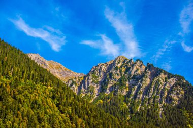 Avusturya Alp Dağları 'nın güzel manzarası. Turizm konsepti. İlham gezisi