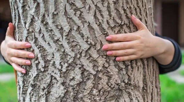 Ellerini ağaca koy. Doğanın enerjisini hissetmek, ruhla bağlantı kurmak. Ruhani uygulama.