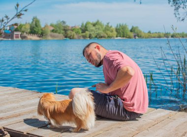 Küçük altın bir Asyalı köpeği olan genç bir adam, evcil hayvan davranış konsepti. İnsan en iyi arkadaşı