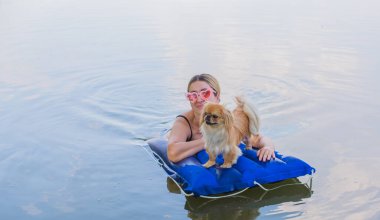 Sahibi ile birlikte doğada bir su yatağında küçük altın bir köpek. Evcil hayvan davranışı kavramı