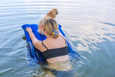 Sahibi ile birlikte doğada bir su yatağında küçük altın bir köpek. Evcil hayvan davranışı kavramı