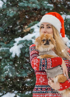 Noel kıyafetli bir kız ve kışın dışarıda güzel bir köpek. En iyi insan arkadaşı