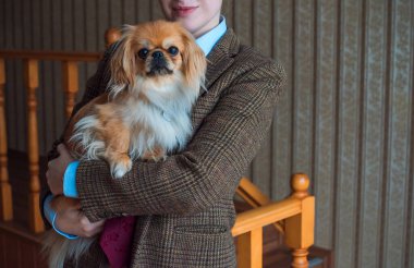 Yün Takım Elbiseli, Şık ve Sıcak Evcil Hayvan Anı 'nda Pekin Köpeğini Tutan Zarif Kadın