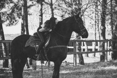 Ata binen zarif bir kadın atıyla konuşuyor. Bir kadınla ata binmenin portresi. Doğası gereği binicisi olan bir at.