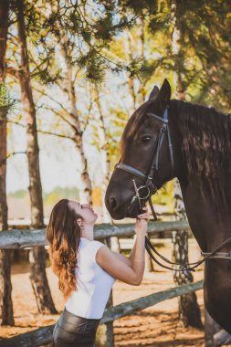 Ata binen zarif bir kadın atıyla konuşuyor. Bir kadınla ata binmenin portresi. Doğası gereği binicisi olan bir at.