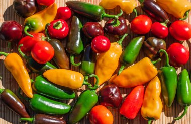 Renkli Biberler Yakın plan, Taze Organik Sebzeler