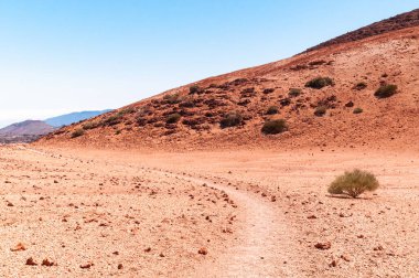 Kırmızı volkanik kayadan yapılmış bir çöl bölgesinde, dağların arka planına ve açık mavi gökyüzüne uzanan bir bükme yolu. Çayırların arasında yapayalnız bir çalı. Teide Ulusal Parkı, Tenerife
