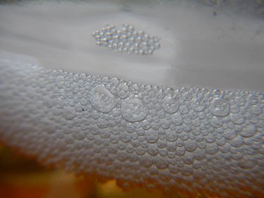 Suda kabarcıklar ya da makro karede bira.