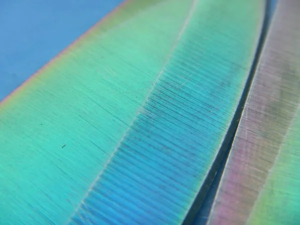 Bukalemun Metal Bıçak Desenli Soyut Bir Arka Plan — Stok fotoğraf