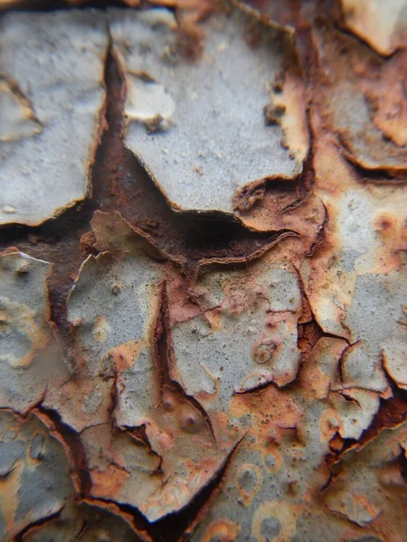 Paslı demir dokusu, grunge arkaplan.