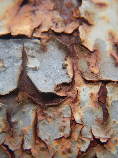 Paslı metal plaka üzerinde paslı bir plaka..