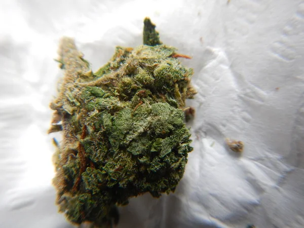 Macro Shot Van Cannabis — Stockfoto