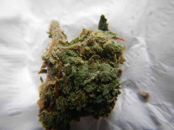 Marijuana Medica Cannabis — Foto Stock