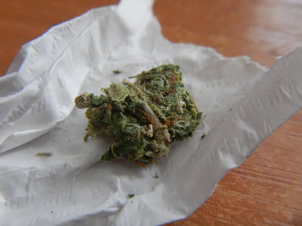 Marihuána Kannabiszbimbó Marihuána Kábítószer Függőség Fogalma — Stock Fotó