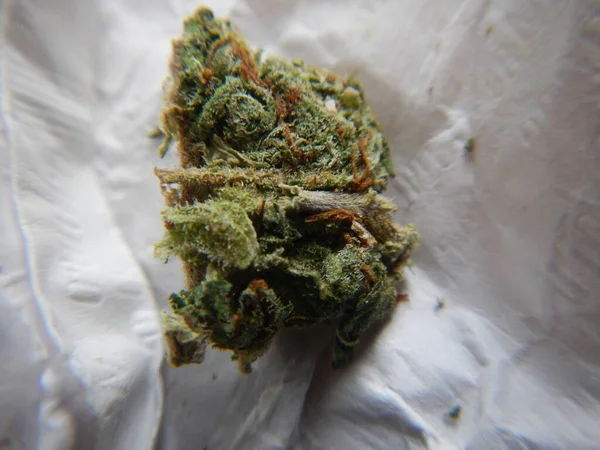 Marijuana Och Cannabisknoppar Makro — Stockfoto