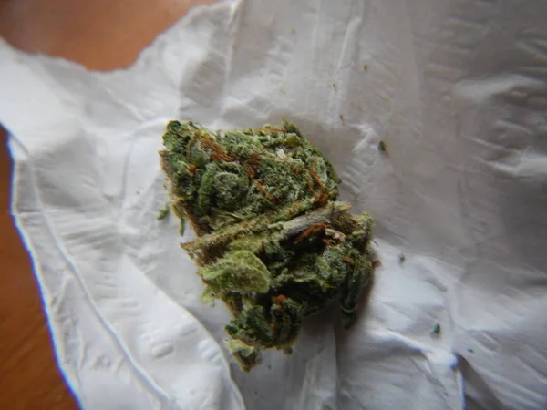 Blick Aus Nächster Nähe Auf Medizinisches Marihuana — Stockfoto