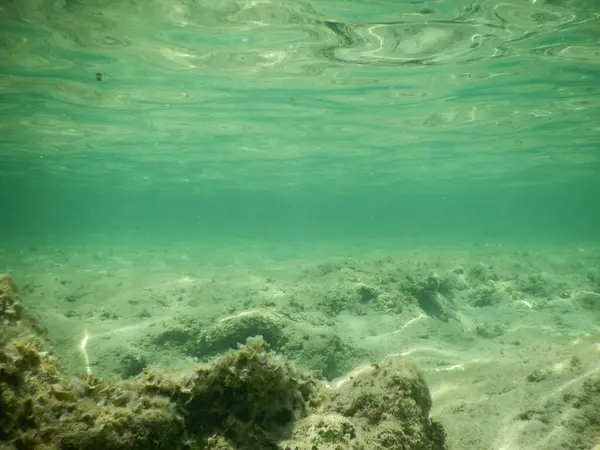 Deniz su yüzeyi temizleyin