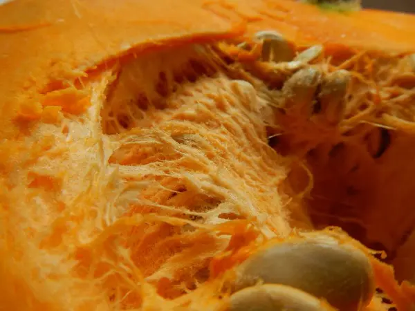 Olgun bir balkabağına yaklaş