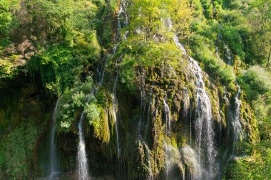 Karadeniz 'de şelale gibi güzel Kuzalan şelalesi. Giresun - Türkiye