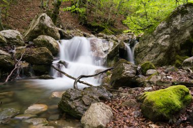 Karadağ 'ın Prokletije kentindeki kayaların arasından akan nehirdeki su akıntısı.