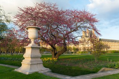 Tuileries Garden 'da akşam yürüyüşü, Paris Fransa