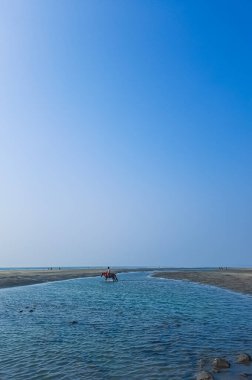Binici sahil boyunca at sırtında dörtnala gidiyor. Okyanus boyunca ata biner. Sahilde güzel bir binici. 