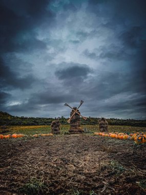 Moody Pumpkin Field with Hay Sculptures and Dark Autumn Sky clipart