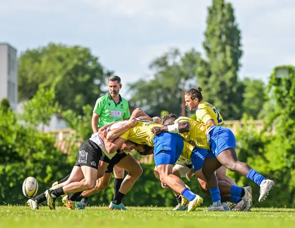 Rumen Rugby oyuncuları Romanya 'nın Bükreş kentinde düzenlenen 2025 Romanya Rugby 7 Şampiyonası Finalleri sırasında eylem halinde görülüyor.