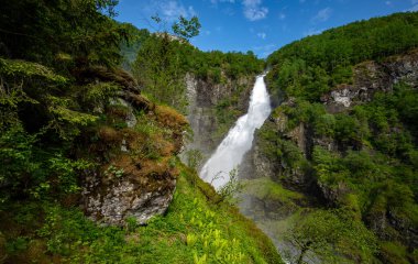 Yeşillik bir ormanın ortasında bir şelale.