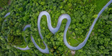 Ormanın ortasında dolambaçlı bir yol.