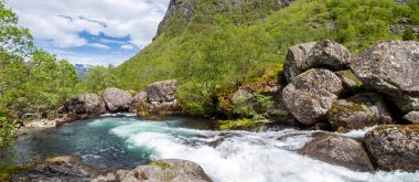 Bir nehir yemyeşil bir ormanın içinden akıyor.